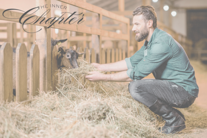 Ch. 16 - The Writer’s Room: Jack oder wie Nebenfiguren ihr eigenes HEA finden